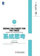Cover of 系统思考