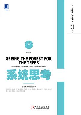 Cover of 系统思考
